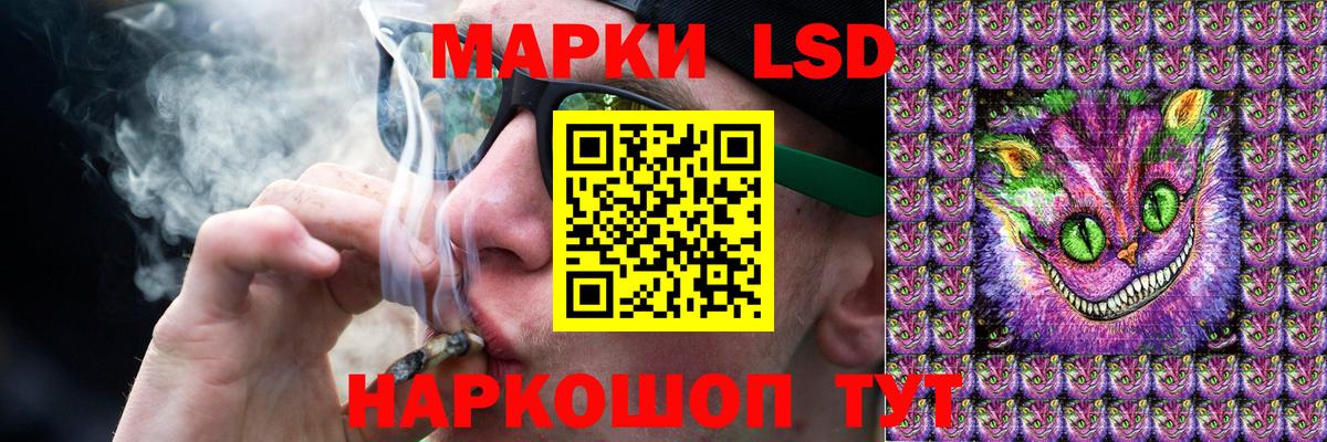 Новозыбков  LSD-25 экстази ecstasy  ЛСД экстази ecstasy  Лсд 25 экстази  Вход с VPN 