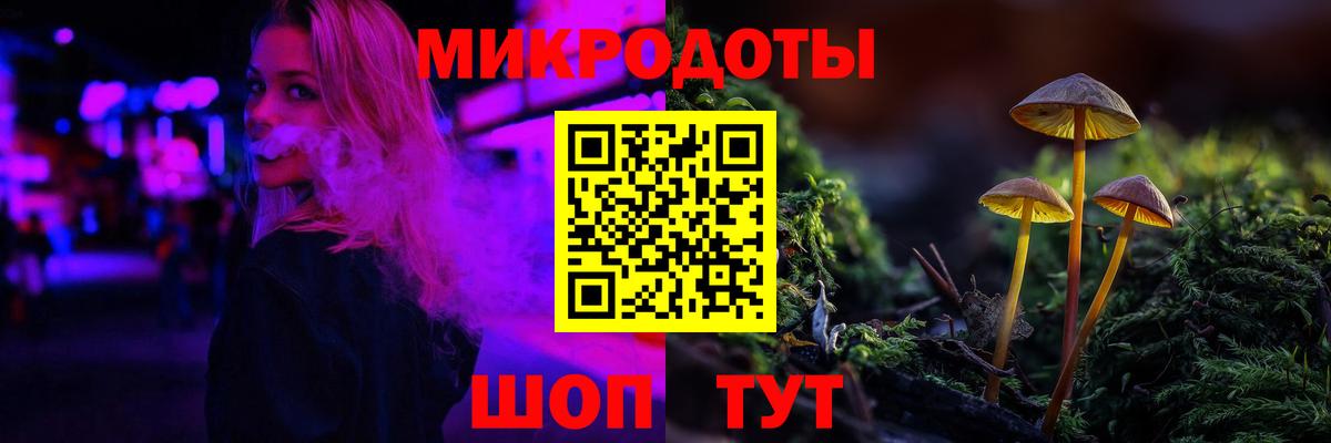 Новозыбков  даркнет сайт  Вход с VPN  Псилоцибиновые грибы GOLDEN TEACHER 